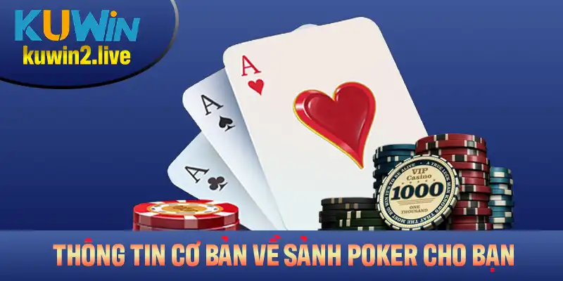 Giới thiệu các thông tin cơ bản về sảnh Poker cho bạn
