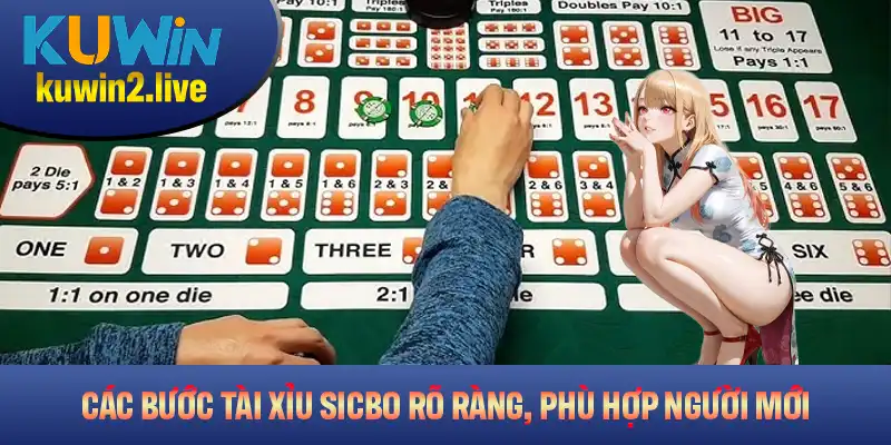 Các bước chơi tài xỉu Sicbo rõ ràng, phù hợp người mới