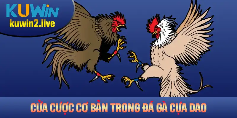 Tổng hợp cửa cược cơ bản trong gà đá cựa dao bạn cần biết